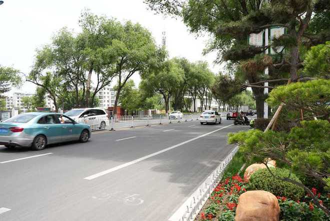 駐延企業包保打造10條精品街路 綠美直抵人心