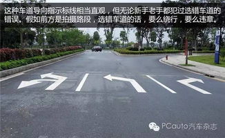 車主學堂丨你能看懂交通標線嗎
