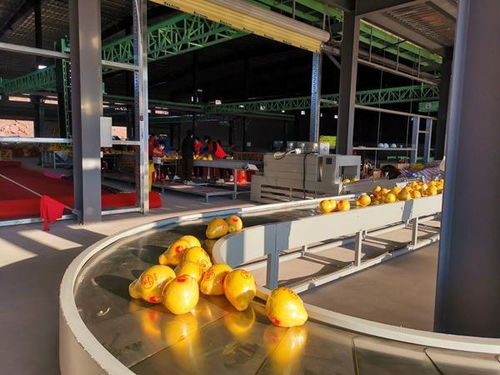 廣西 推進數(shù)字化產(chǎn)地倉建設(shè) 加快鄉(xiāng)村振興步伐