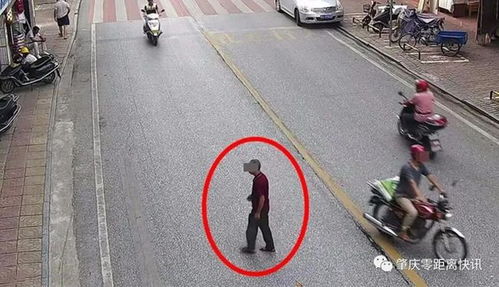 肇慶行人亂穿馬路遭曝光，道路設(shè)施問題引發(fā)關(guān)注