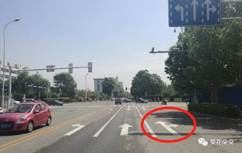 遵化城區道路通行方式優化調整 多處交通設施升級助力市民便捷出行